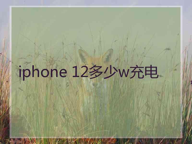 iphone 12多少w充电