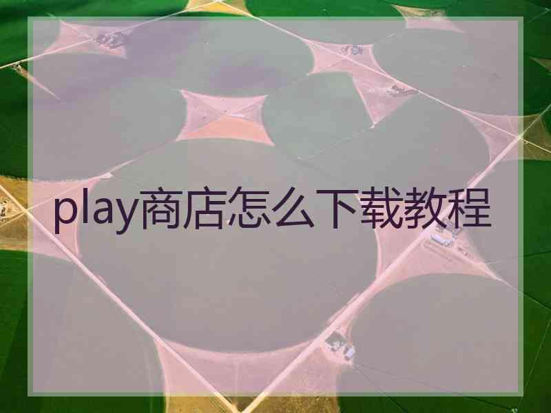 play商店怎么下载教程