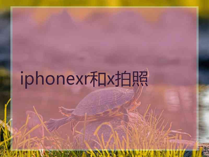 iphonexr和x拍照