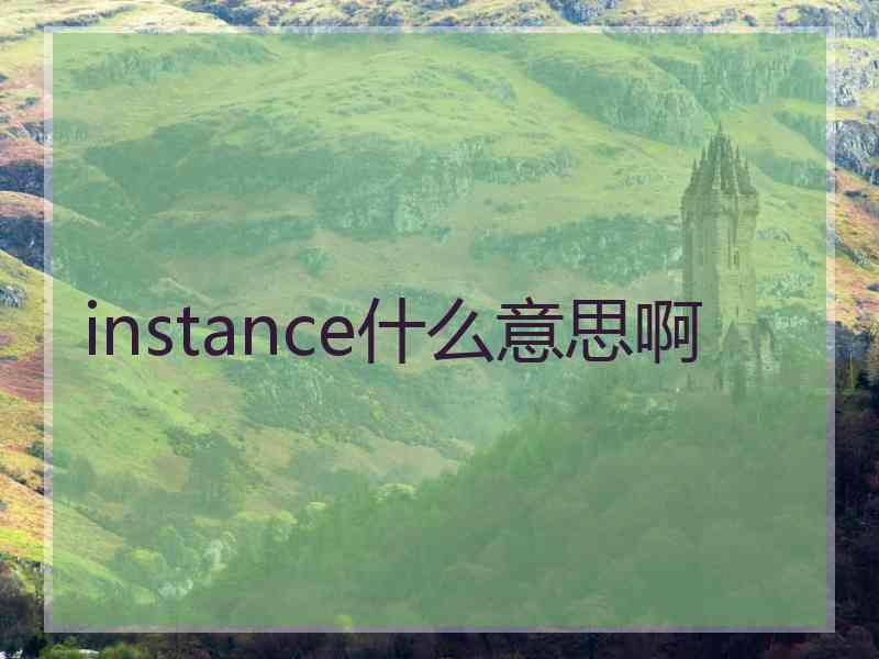 instance什么意思啊