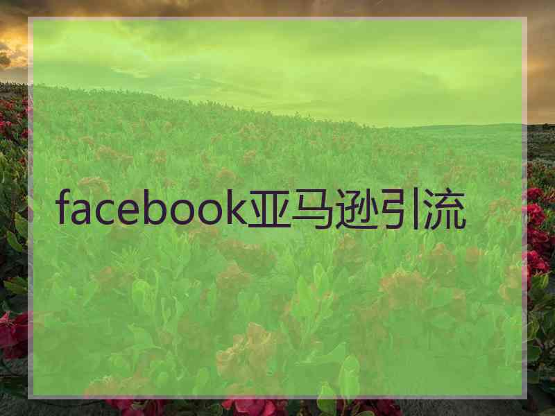 facebook亚马逊引流