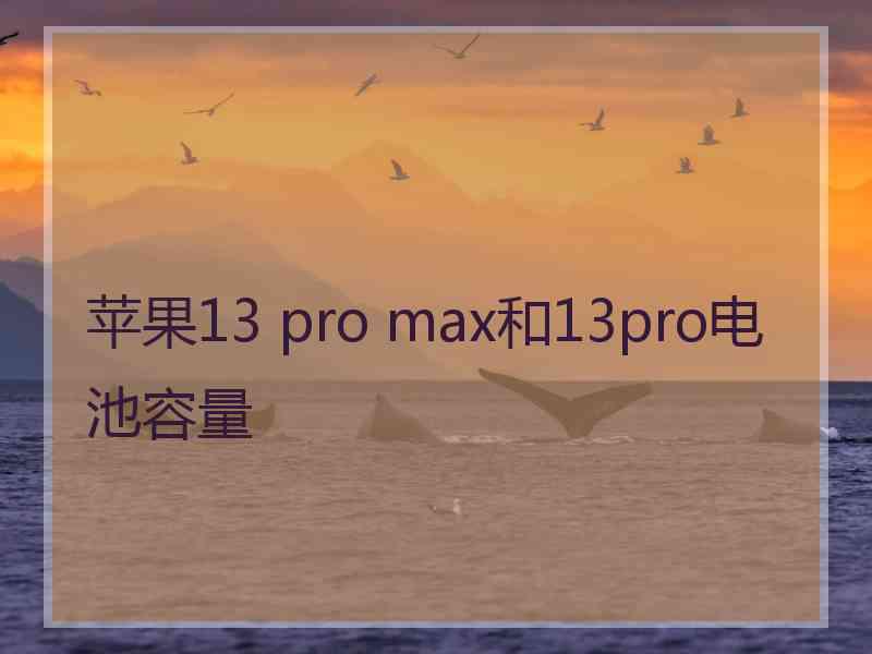 苹果13 pro max和13pro电池容量