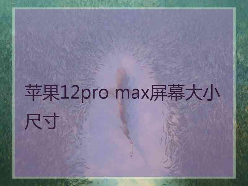 苹果12pro max屏幕大小尺寸