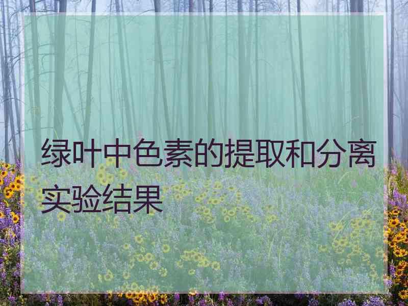 绿叶中色素的提取和分离实验结果