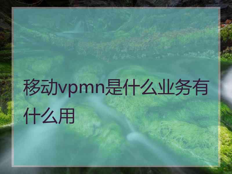 移动vpmn是什么业务有什么用