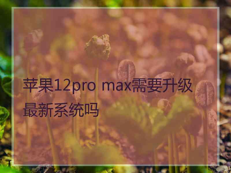 苹果12pro max需要升级最新系统吗