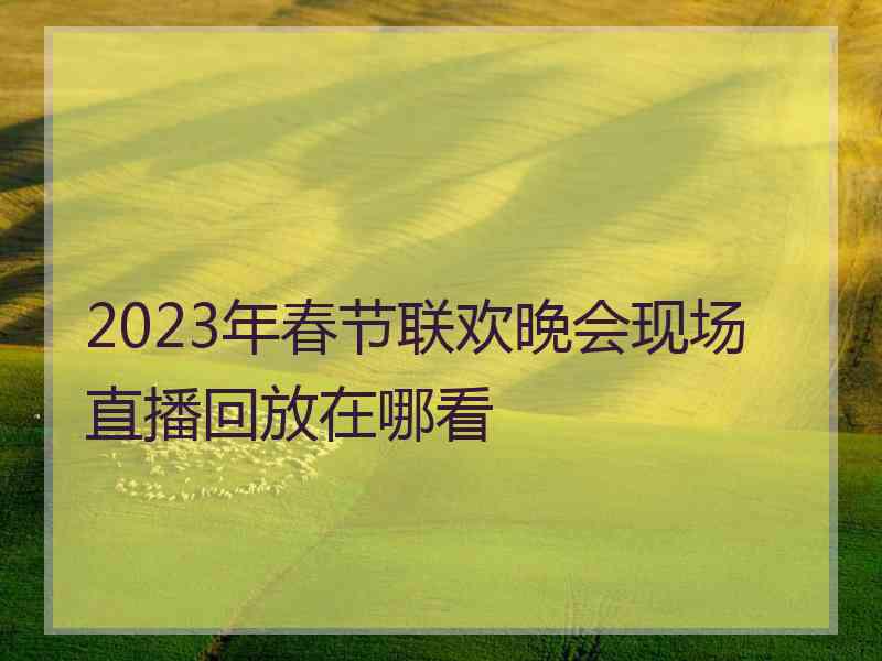 2023年春节联欢晚会现场直播回放在哪看