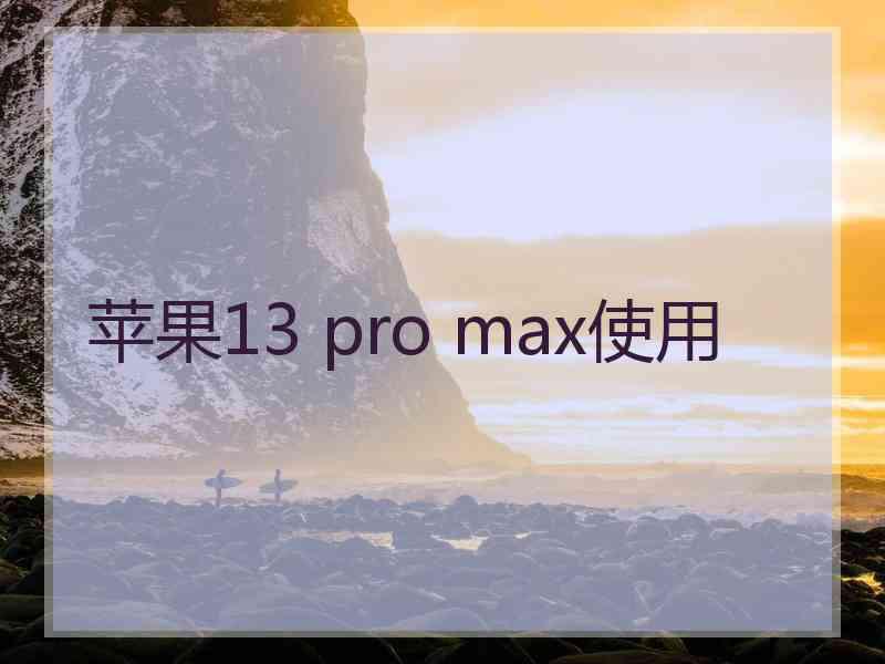 苹果13 pro max使用