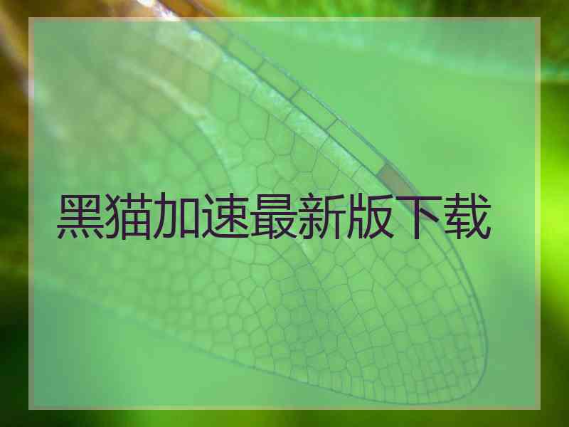 黑猫加速最新版下载