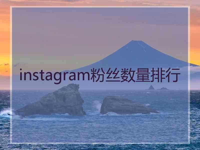 instagram粉丝数量排行