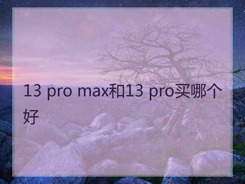 13 pro max和13 pro买哪个好