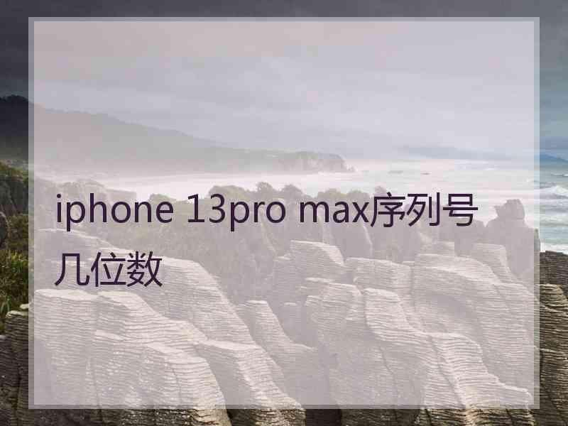 iphone 13pro max序列号几位数