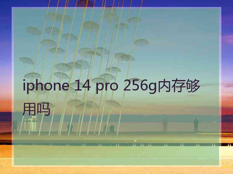 iphone 14 pro 256g内存够用吗