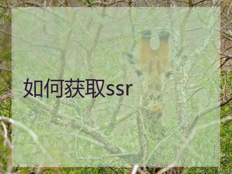 如何获取ssr