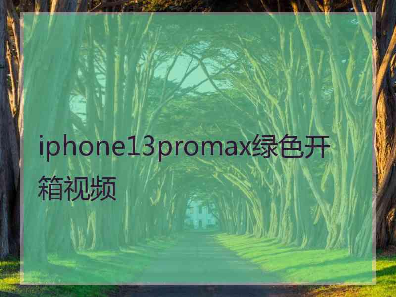 iphone13promax绿色开箱视频