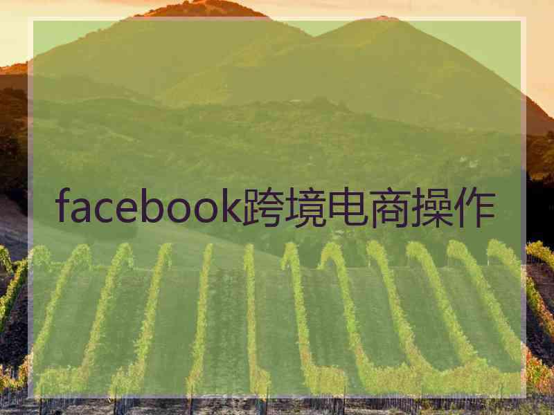 facebook跨境电商操作