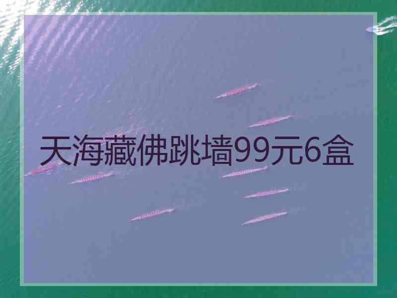 天海藏佛跳墙99元6盒