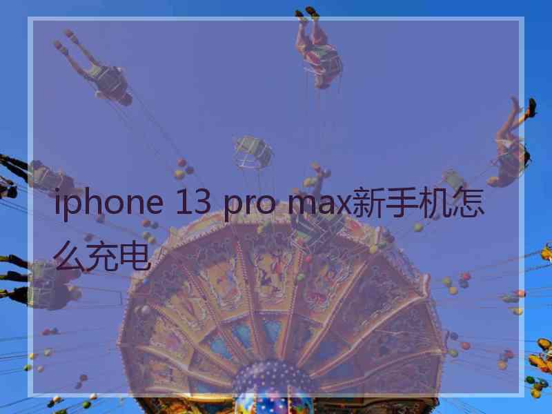 iphone 13 pro max新手机怎么充电