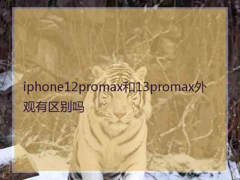 iphone12promax和13promax外观有区别吗