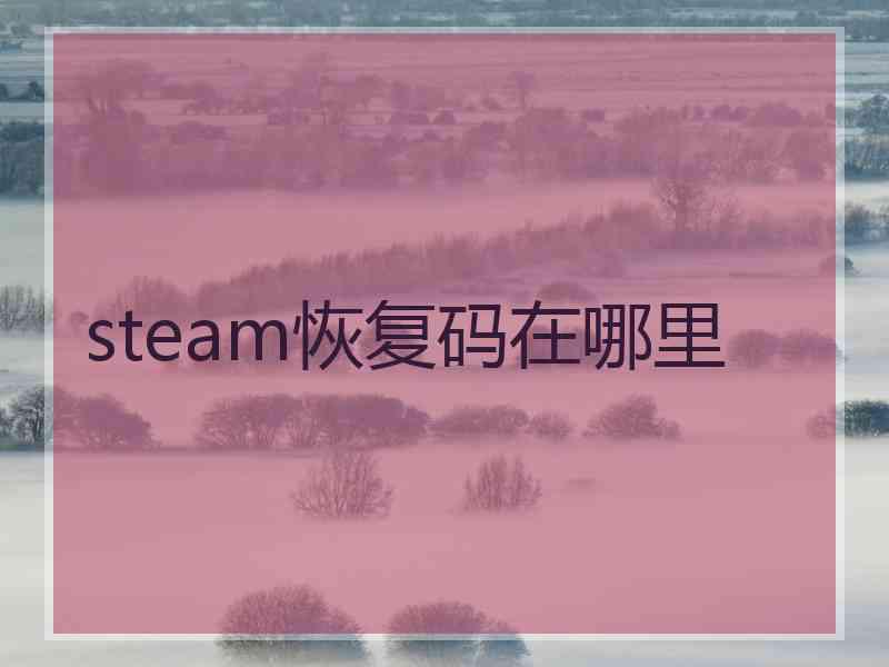 steam恢复码在哪里