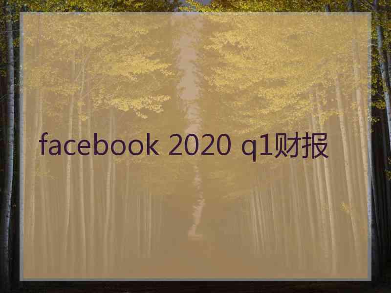 facebook 2020 q1财报