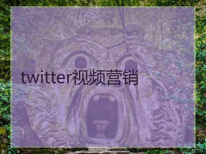 twitter视频营销