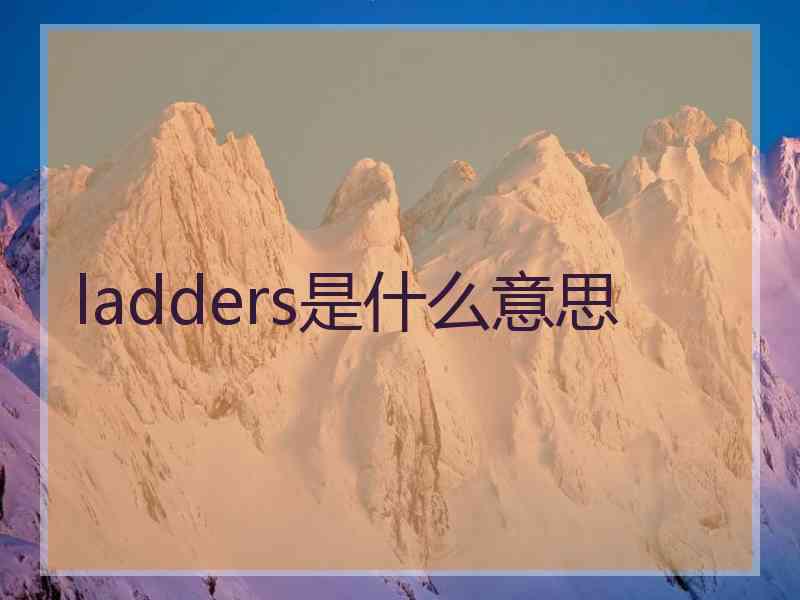 ladders是什么意思