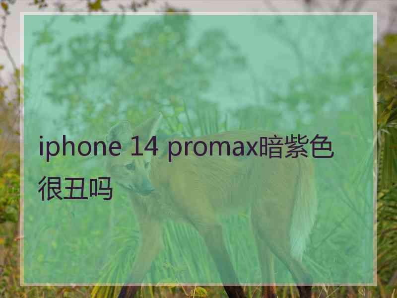 iphone 14 promax暗紫色很丑吗