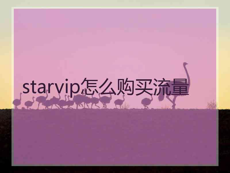 starvip怎么购买流量