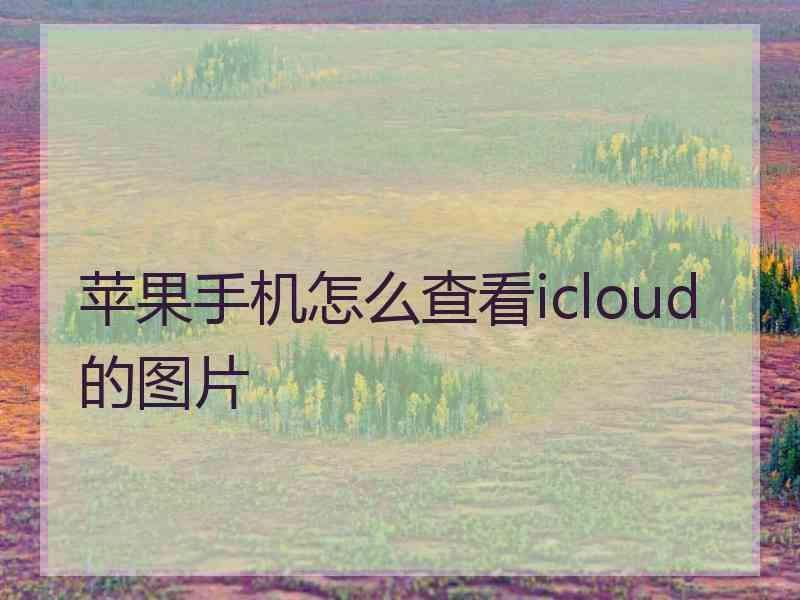 苹果手机怎么查看icloud的图片