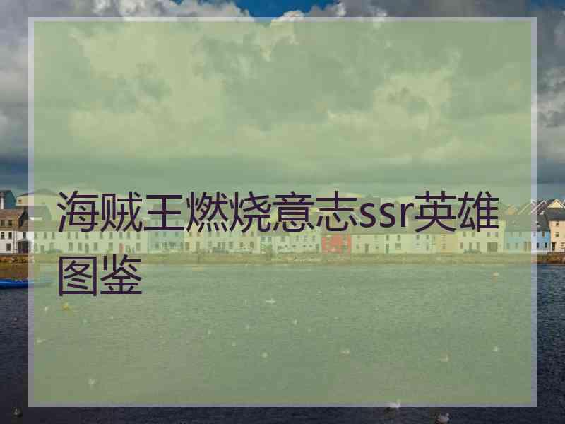 海贼王燃烧意志ssr英雄图鉴