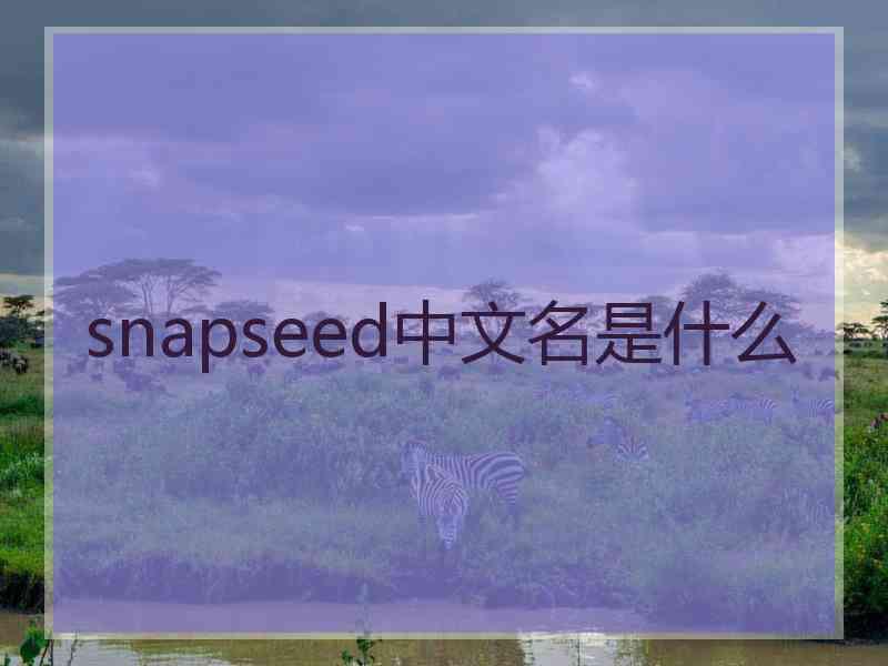 snapseed中文名是什么