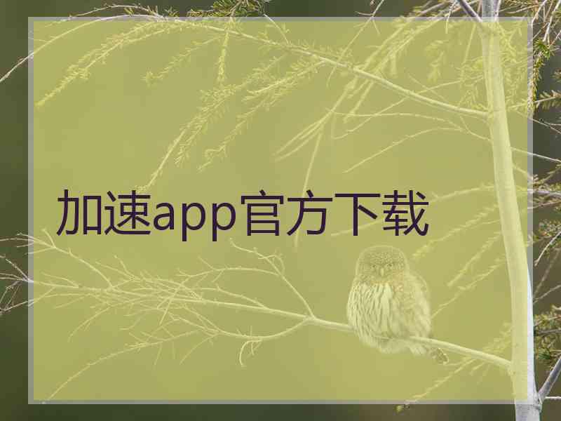 加速app官方下载