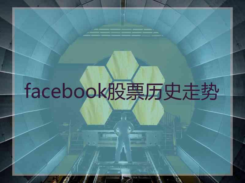 facebook股票历史走势