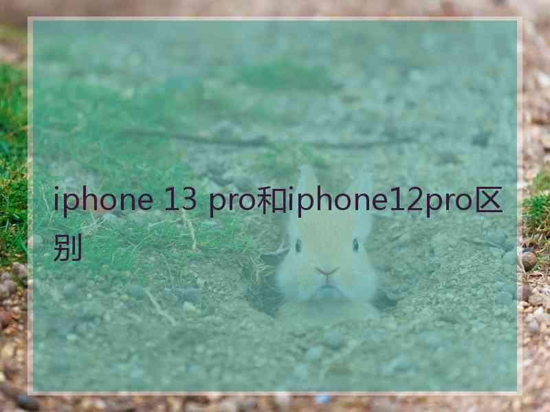 iphone 13 pro和iphone12pro区别