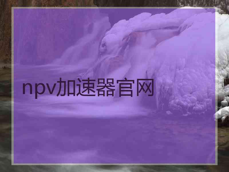 npv加速器官网