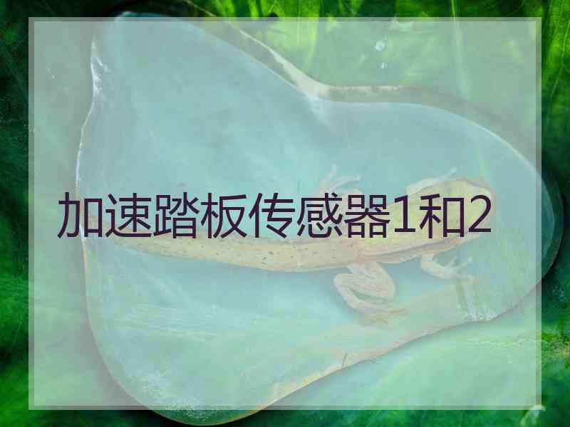 加速踏板传感器1和2