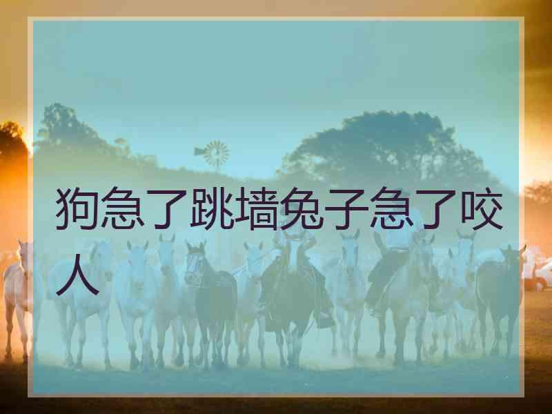 狗急了跳墙兔子急了咬人