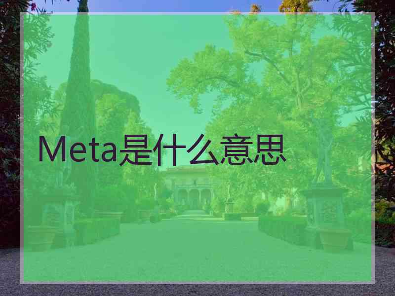 Meta是什么意思