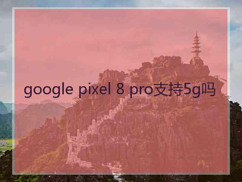 google pixel 8 pro支持5g吗