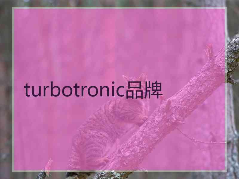 turbotronic品牌