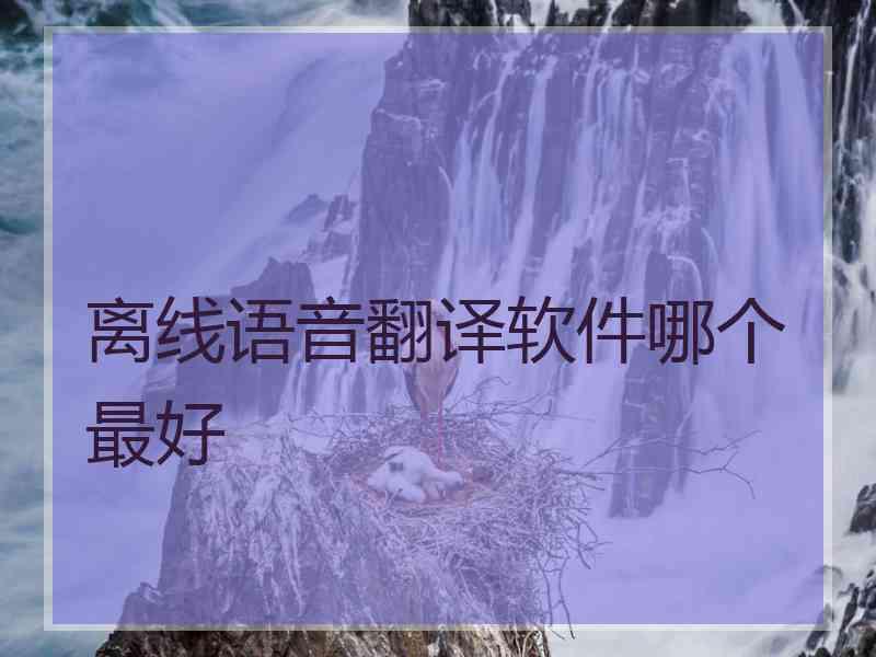 离线语音翻译软件哪个最好