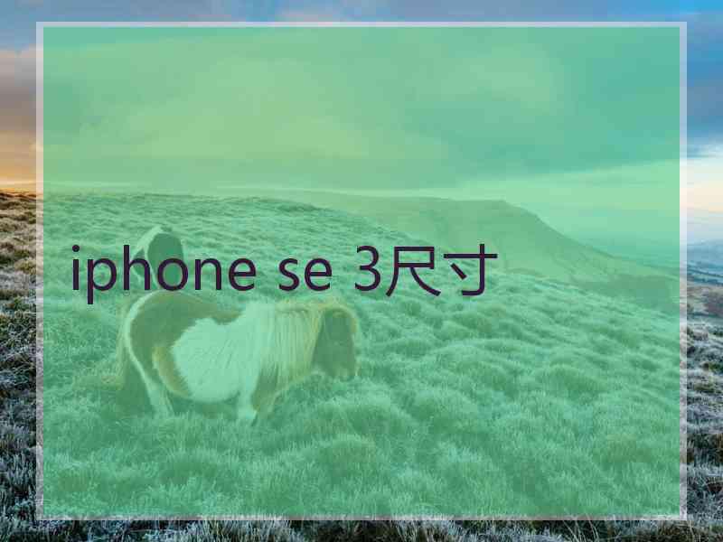 iphone se 3尺寸