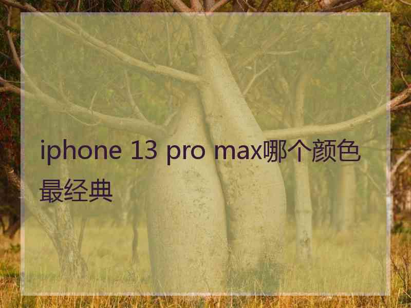 iphone 13 pro max哪个颜色最经典