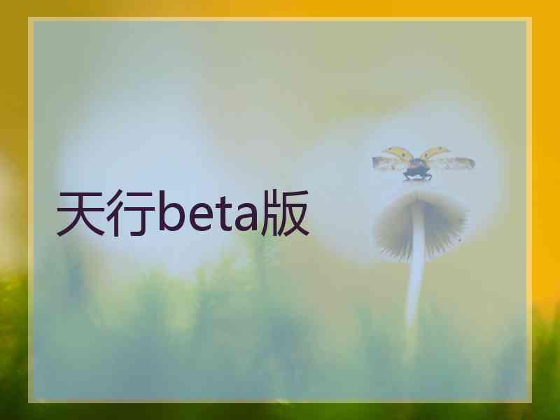 天行beta版