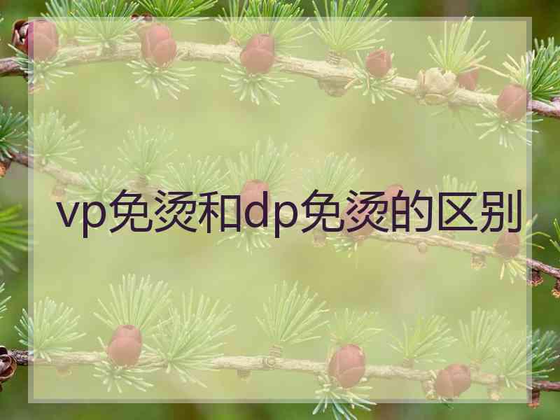 vp免烫和dp免烫的区别