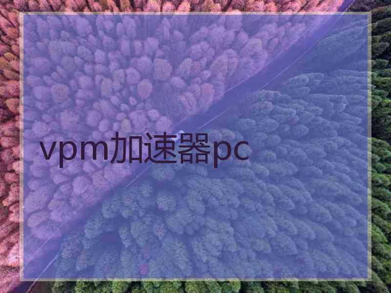 vpm加速器pc