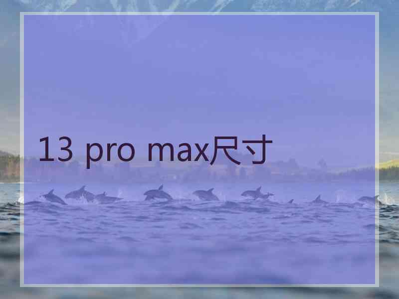 13 pro max尺寸