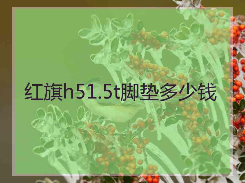 红旗h51.5t脚垫多少钱