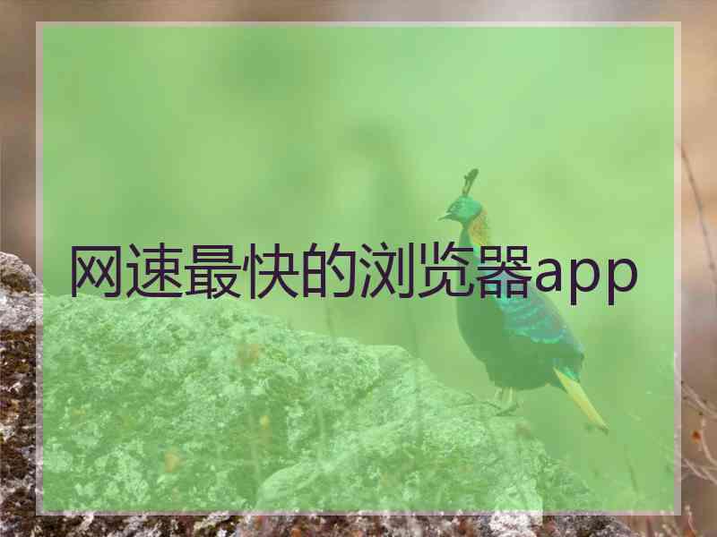 网速最快的浏览器app